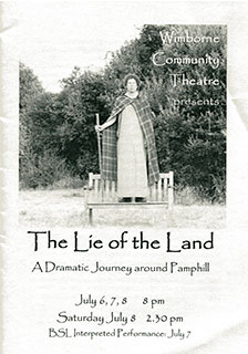 The Lie of the Land poster